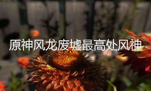原神最高攻略神瞳收集风龙废墟处风